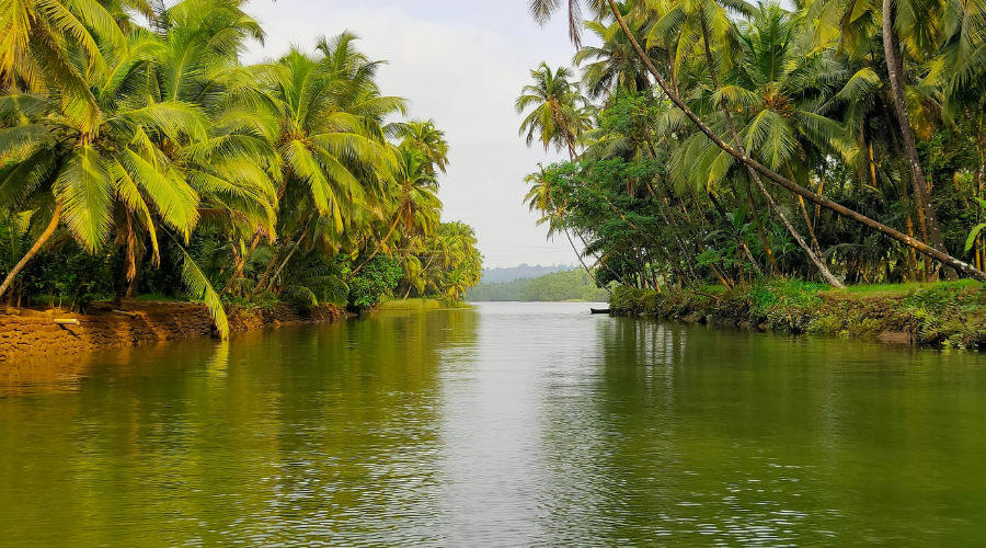 Kerala Govt Approves Framework for River Basin Conservation and Management